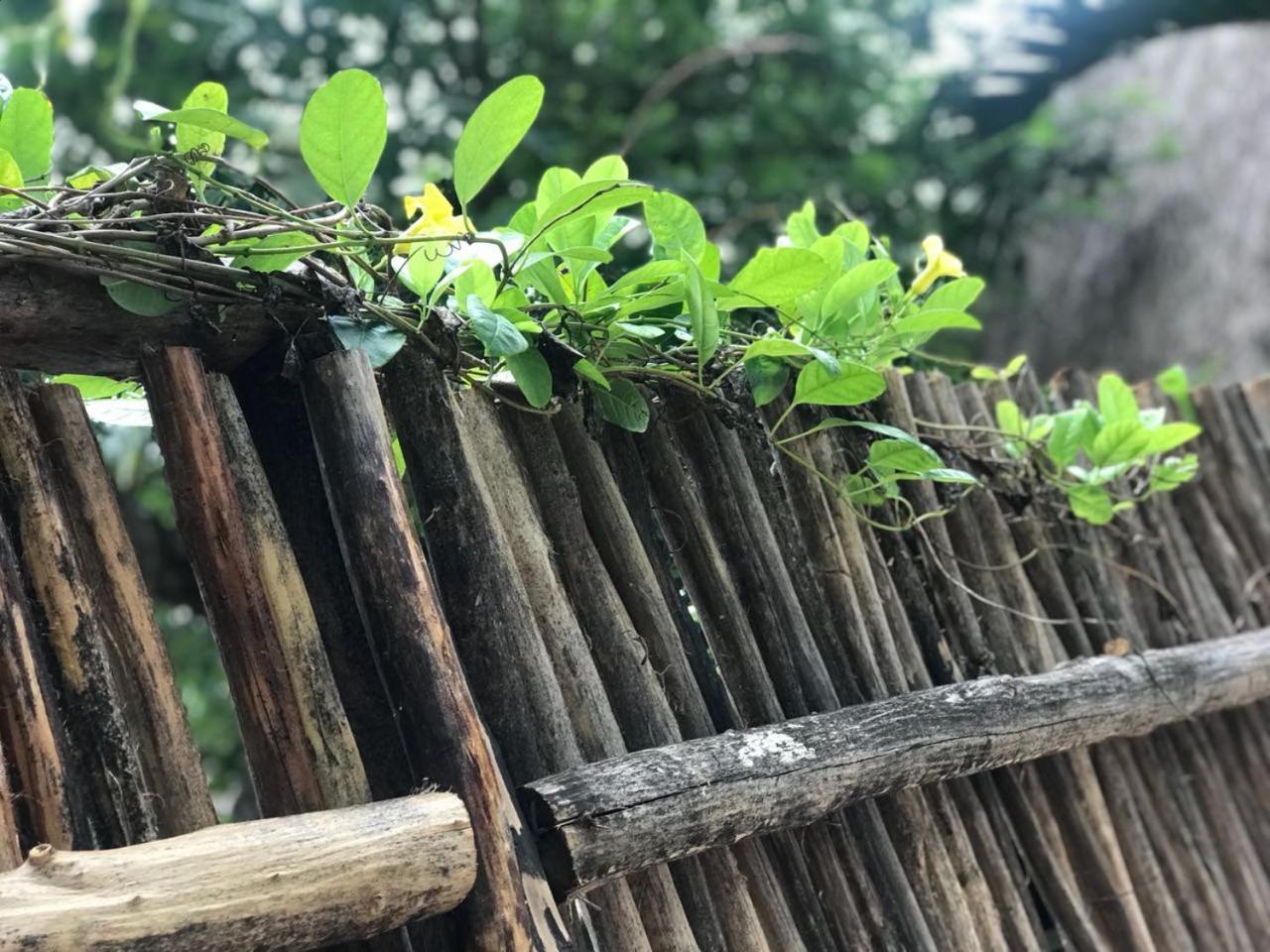 Cabanas La Alborada Vila Tulum Exterior foto